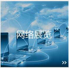 网络展示