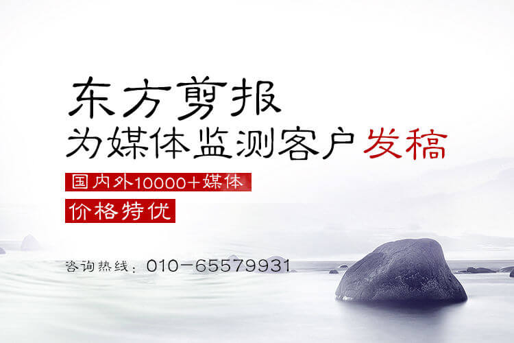 政府舆情分析报告